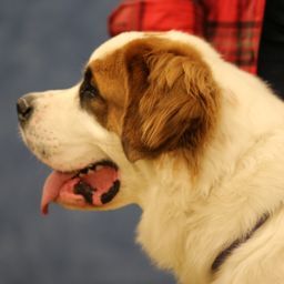 photograph by PeterW